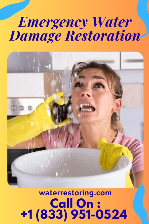 Emergency Water Damage Restoration in Bowie, MD