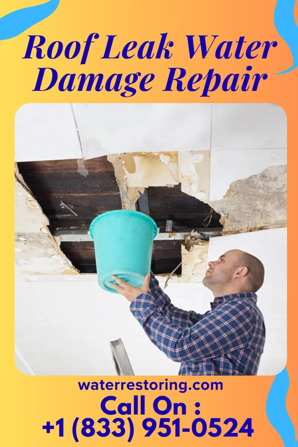 Roof Leak Water Damage Repair in Bowie, MD